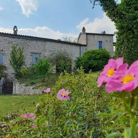 Agriturismo Del Frontino - Lo Studio Acqualagna Extérieur photo