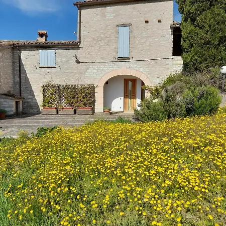 Agriturismo Del Frontino - Lo Studio Acqualagna Extérieur photo