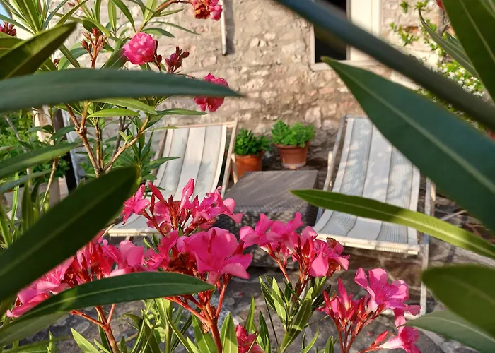 Agriturismo Del Frontino - Lo Studio