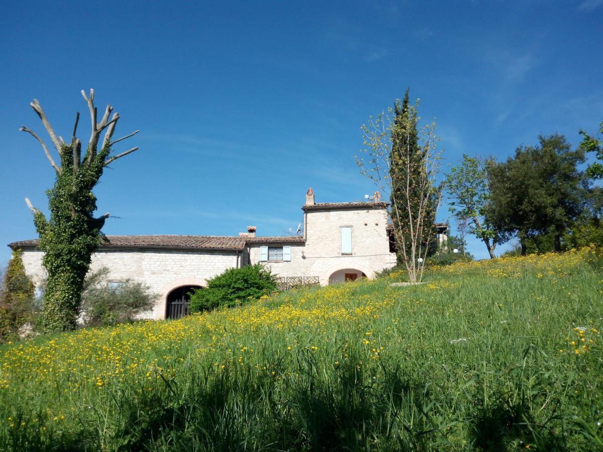 Apartment Del Frontino - Lo *