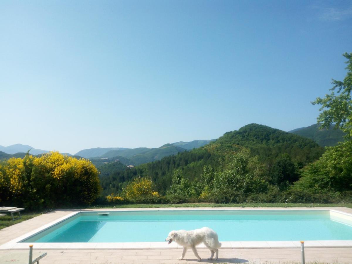 Apartment Del Frontino - Lo