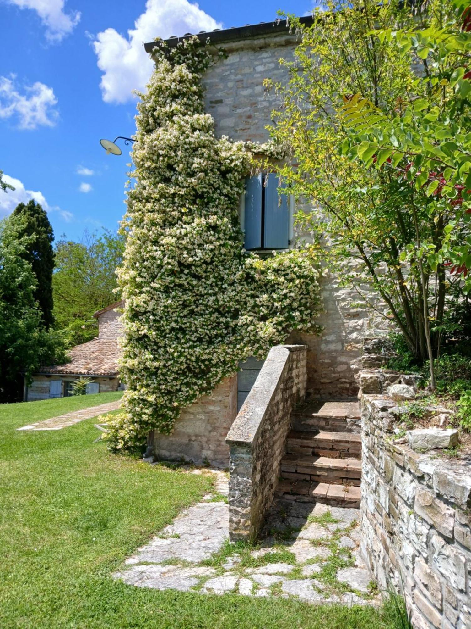 Apartment Del Frontino - Lo