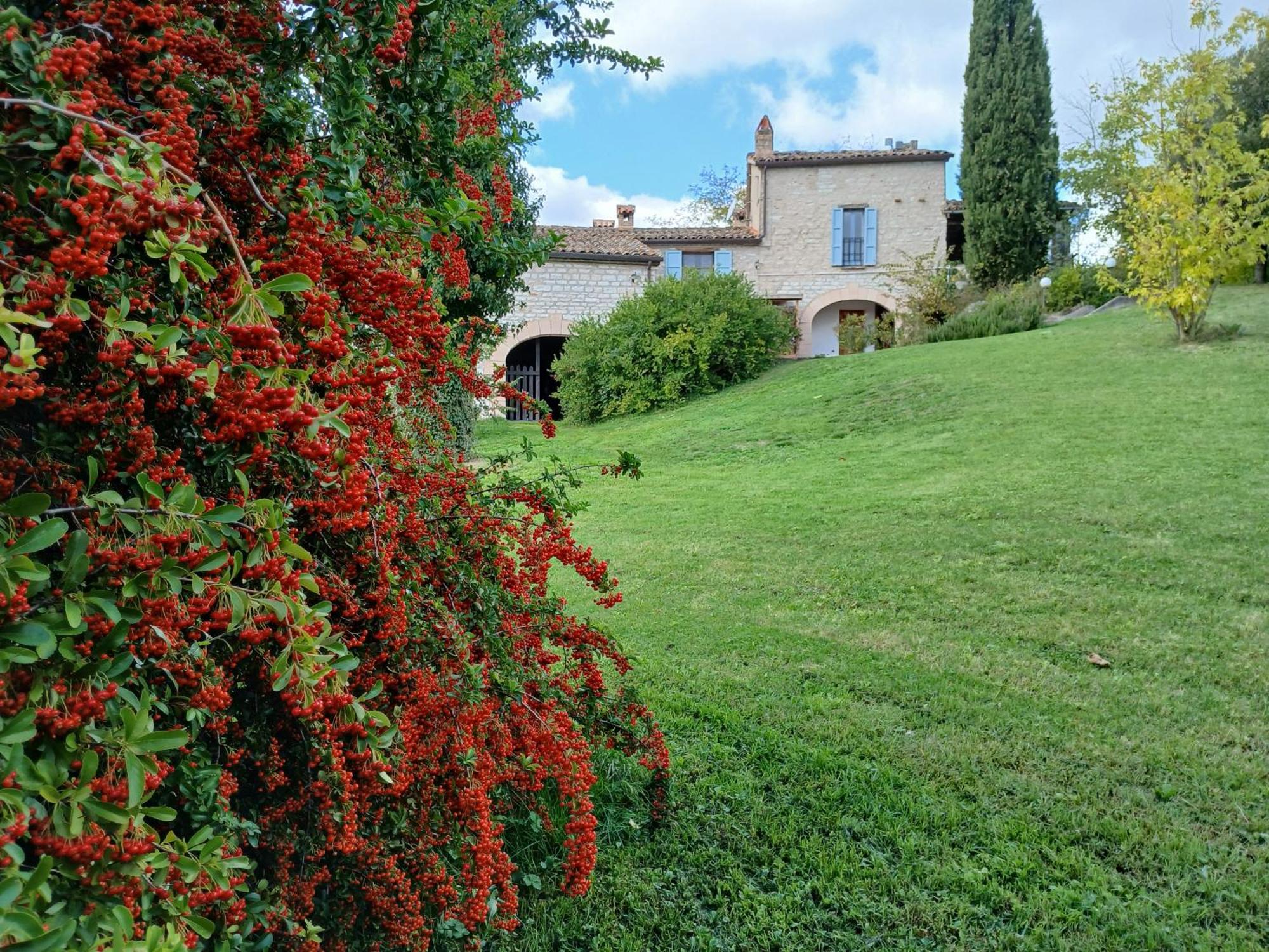 Apartment Del Frontino - Lo